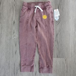 🆕️Cat and jack Girls joggers